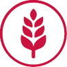 Gluten